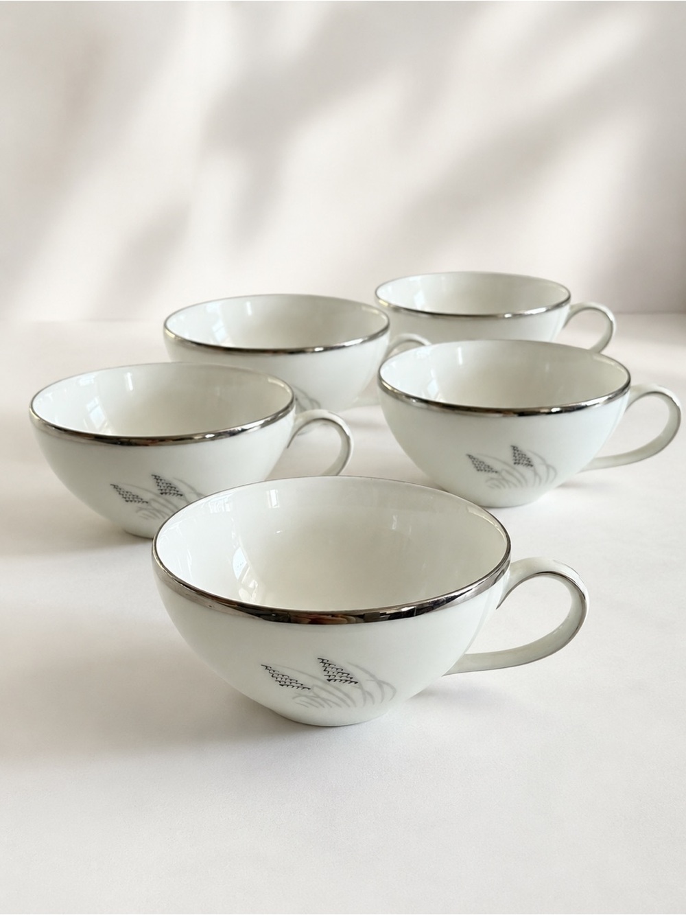 Fukagawa Arita Japan Hand Painted Tea Cup Set of 6 Pattern 706 Silver Rim